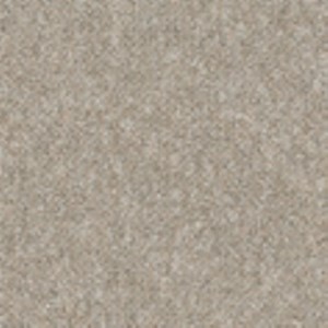 Desso Natural Nuances - Natural Nuances 9110