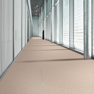 Desso Natural Nuances - Natural Nuances 9020